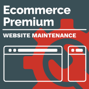Ecommerce Premium