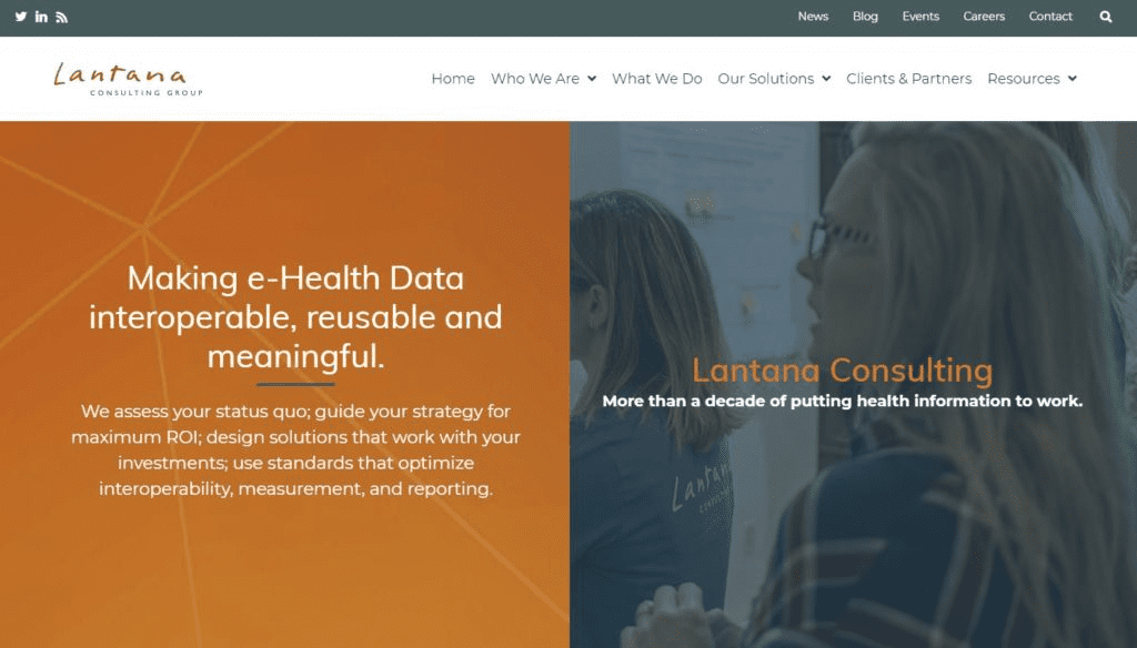 Lantana group